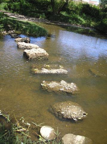 imagen 3 de Venta de huerta junto al río en Moraleja (Cáceres)