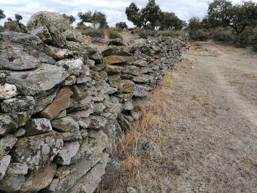 imagen 2 de Venta de preciosa finca en Miajadas (Cáceres)