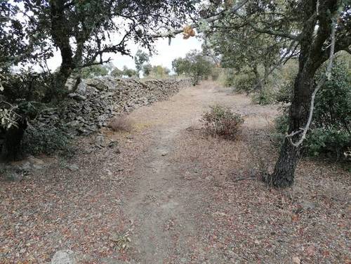 imagen 3 de Venta de preciosa finca en Miajadas (Cáceres)