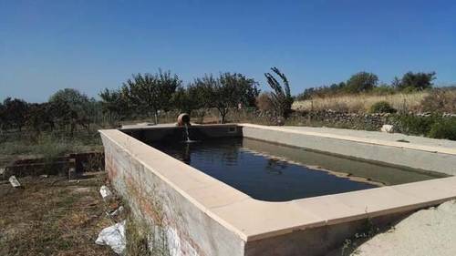 imagen 3 de Venta de  finca de frutales Arroyomolinos de la Vera (Cáceres)