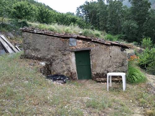imagen 3 de Venta de finca en Los tres Cerros en Jerte (Cáceres)