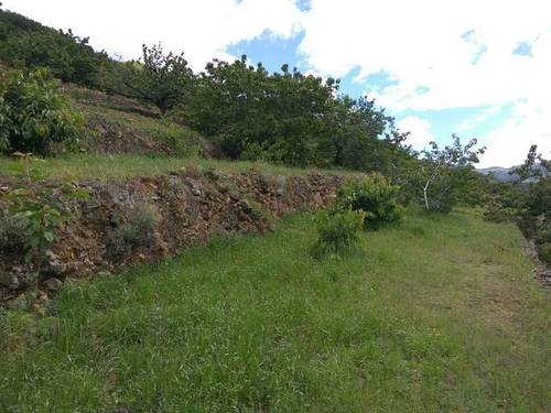 imagen 1 de Venta de finca en producción en Valle del Jerte (Cáceres)