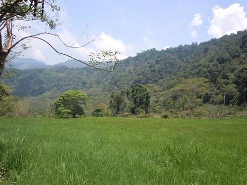 imagen 1 de Venta de magnífica finca en Baños de Montemayor (Cáceres)