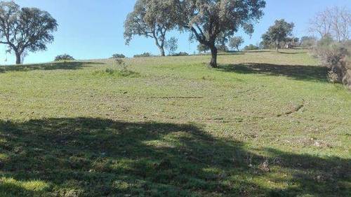 imagen 2 de Venta de finca en Valverde del Fresno (Cáceres)