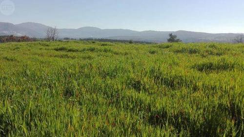 imagen 3 de Venta de finca en Valverde del Fresno (Cáceres)