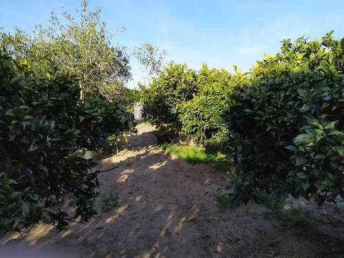 imagen 1 de Venta de terreno en con casa en Chipiona (Cádiz)