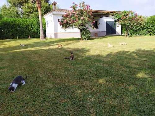 imagen 2 de Venta de terreno en con casa en Chipiona (Cádiz)