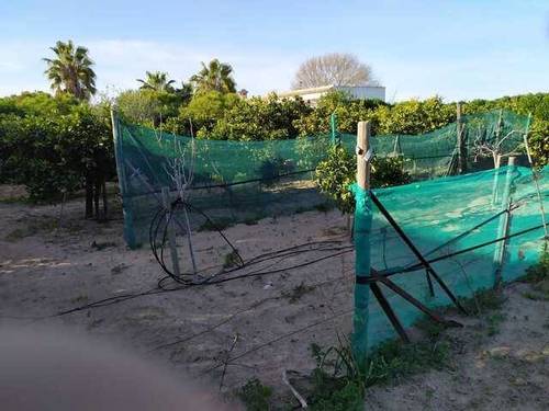 imagen 3 de Venta de terreno en con casa en Chipiona (Cádiz)