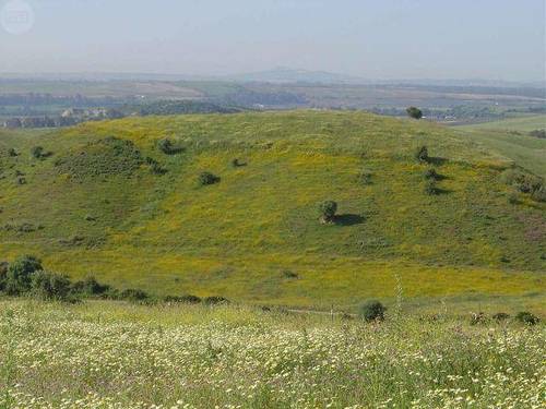 imagen 1 de Venta de preciosa finca en Arcos de la Frontera (Cádiz)