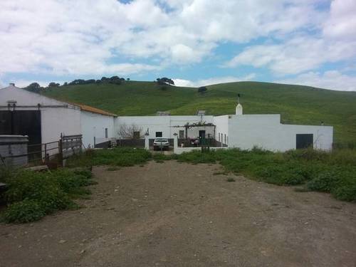 imagen 1 de Venta de gran finca en Alcalá de los Gazules (Cádiz)