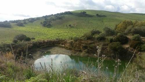 imagen 1 de Venta de gran finca en Alcalá de los Gazules (Cádiz)