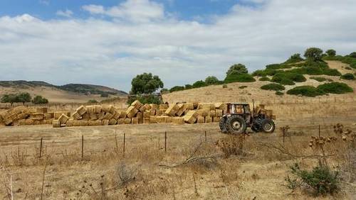 imagen 4 de Venta de gran finca en Alcalá de los Gazules (Cádiz)