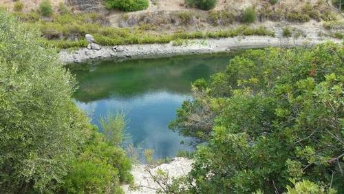 imagen 2 de Venta de gran finca en Alcalá de los Gazules (Cádiz)