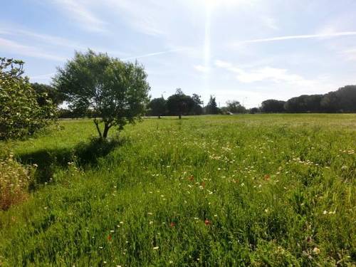 imagen 1 de Venta de finca en Chiclana de la Frontera (Cádiz)