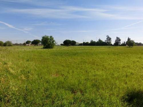 imagen 1 de Venta de finca en Chiclana de la Frontera (Cádiz)