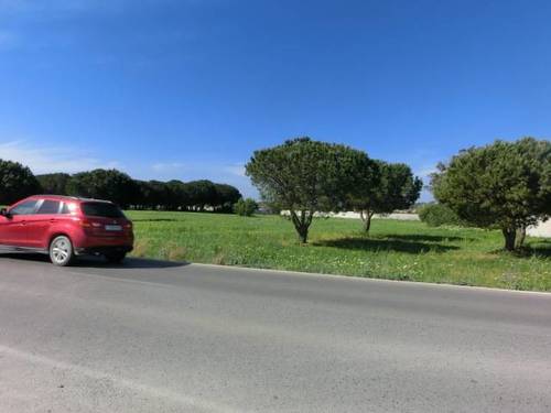 imagen 2 de Venta de finca en Chiclana de la Frontera (Cádiz)