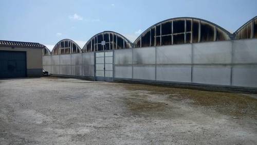 imagen 3 de Venta de finca con invernadero en Chipiona (Cádiz)