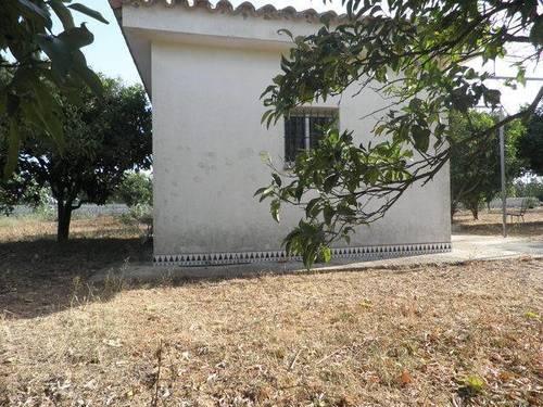 imagen 1 de Venta de parcela de naranjos en Chiclana de la Frontera (Cádiz)