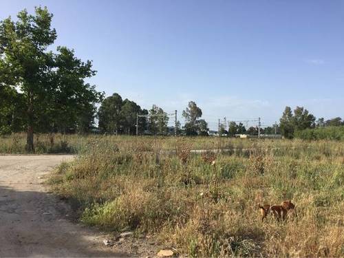 imagen 1 de Venta de finca en Jerez de la Frontera (Cádiz)