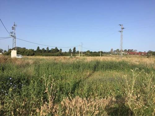 imagen 1 de Venta de finca en Jerez de la Frontera (Cádiz)