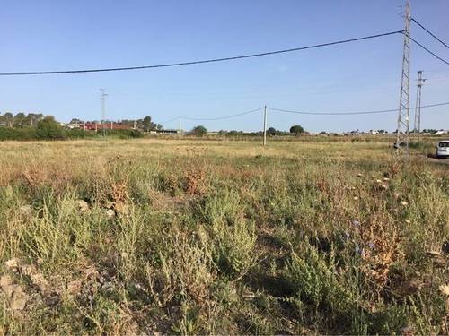 imagen 2 de Venta de finca en Jerez de la Frontera (Cádiz)