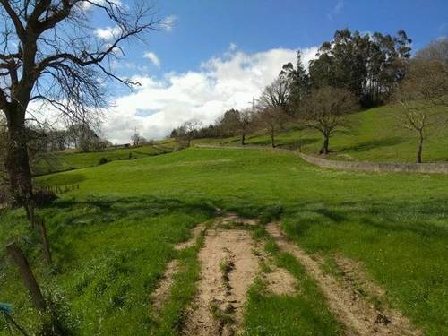 imagen 2 de Venta de finca con ermita en Castañeda (Cantabria)