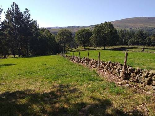 imagen 2 de Venta de terreno en Sel de la Carrera (Cantabria)
