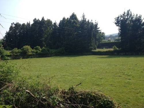 imagen 1 de Venta de magnífica finca en Molledo (Cantabria)