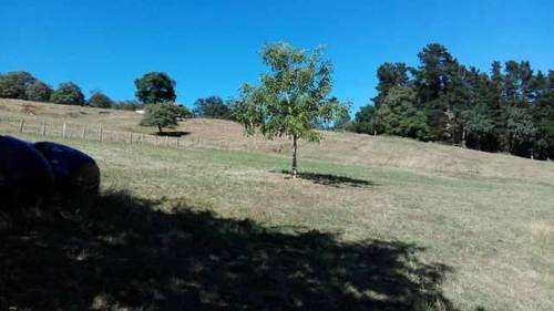 imagen 2 de Venta de estupendo terreno en La Revilla (Cantabria)