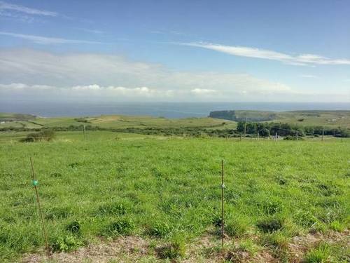 imagen 1 de Venta de prado en Prellezo (Cantabria)