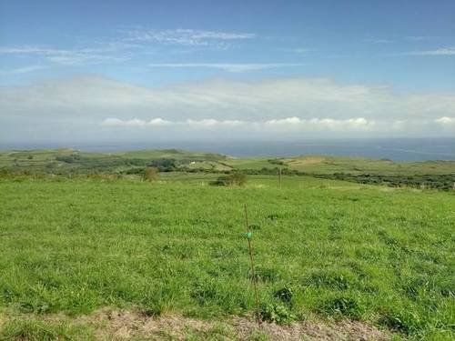 imagen 1 de Venta de prado en Prellezo (Cantabria)