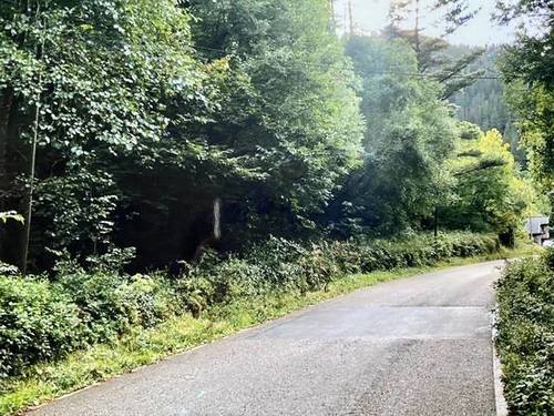 imagen 1 de Venta de fincas en Vega de Pas (Cantabria)