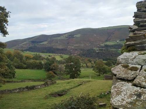 imagen 1 de Venta de estupenda finca con cabaña en San Pedro del Romeral (Cantabria)