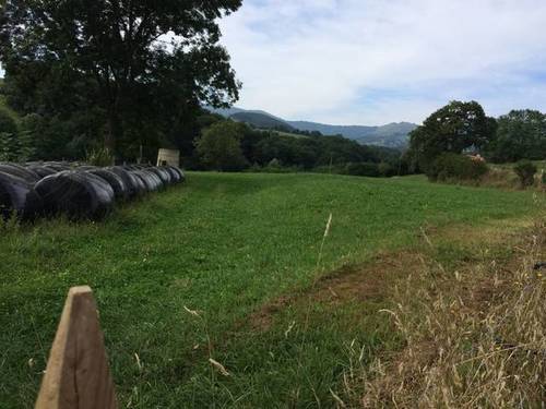 imagen 1 de Venta de finca en Selaya (Cantabria)