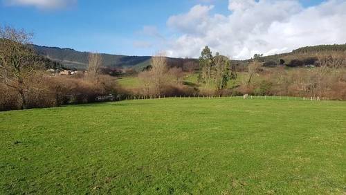imagen 2 de Venta de magnífico prado en Castro Urdiales (Cantabria)