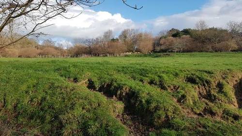 imagen 1 de Venta de magnífico prado en Castro Urdiales (Cantabria)