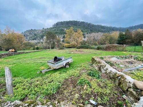 imagen 1 de Venta de finca en Ceceñas (Cantabria)