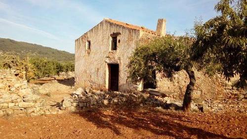 imagen 1 de Venta de finca de almendros en Ribera de Cabanes (Castellón)