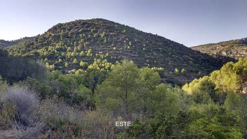 imagen 1 de Venta de finca en Borriol (Castellón)
