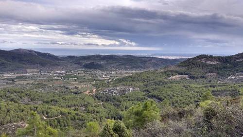 imagen 1 de Venta de finca en Borriol (Castellón)