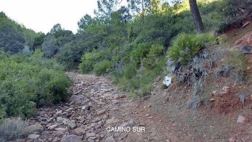 imagen 2 de Venta de finca en Borriol (Castellón)