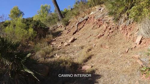 imagen 3 de Venta de finca en Borriol (Castellón)