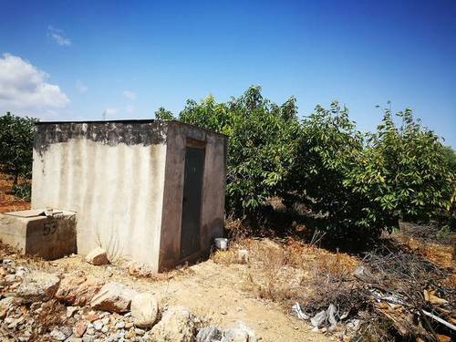 imagen 2 de Venta de finca de naranjos en Benicarló (Castellón)