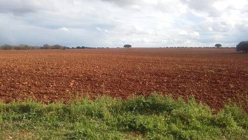 imagen 1 de Venta de gran terreno en Montiel (Ciudad Real)