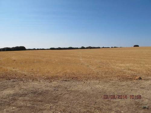 imagen 3 de Venta de gran terreno en Montiel (Ciudad Real)