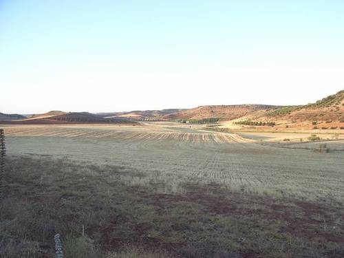 imagen 2 de Venta de gran terreno en Montiel (Ciudad Real)