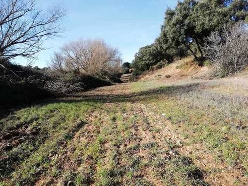 imagen 1 de Venta de Finca en Pedro Muñoz (Ciudad Real)