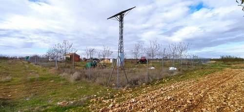 imagen 3 de Venta de finca de almendros en Manzanares (Ciudad Real)