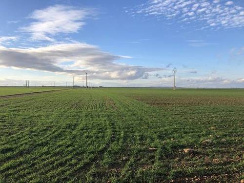 imagen 1 de Venta de terreno en Argamasilla de Alba (Ciudad Real)