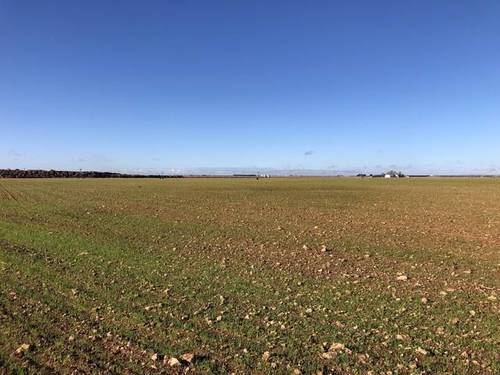 imagen 1 de Venta de finca en Socuéllamos (Ciudad Real)
